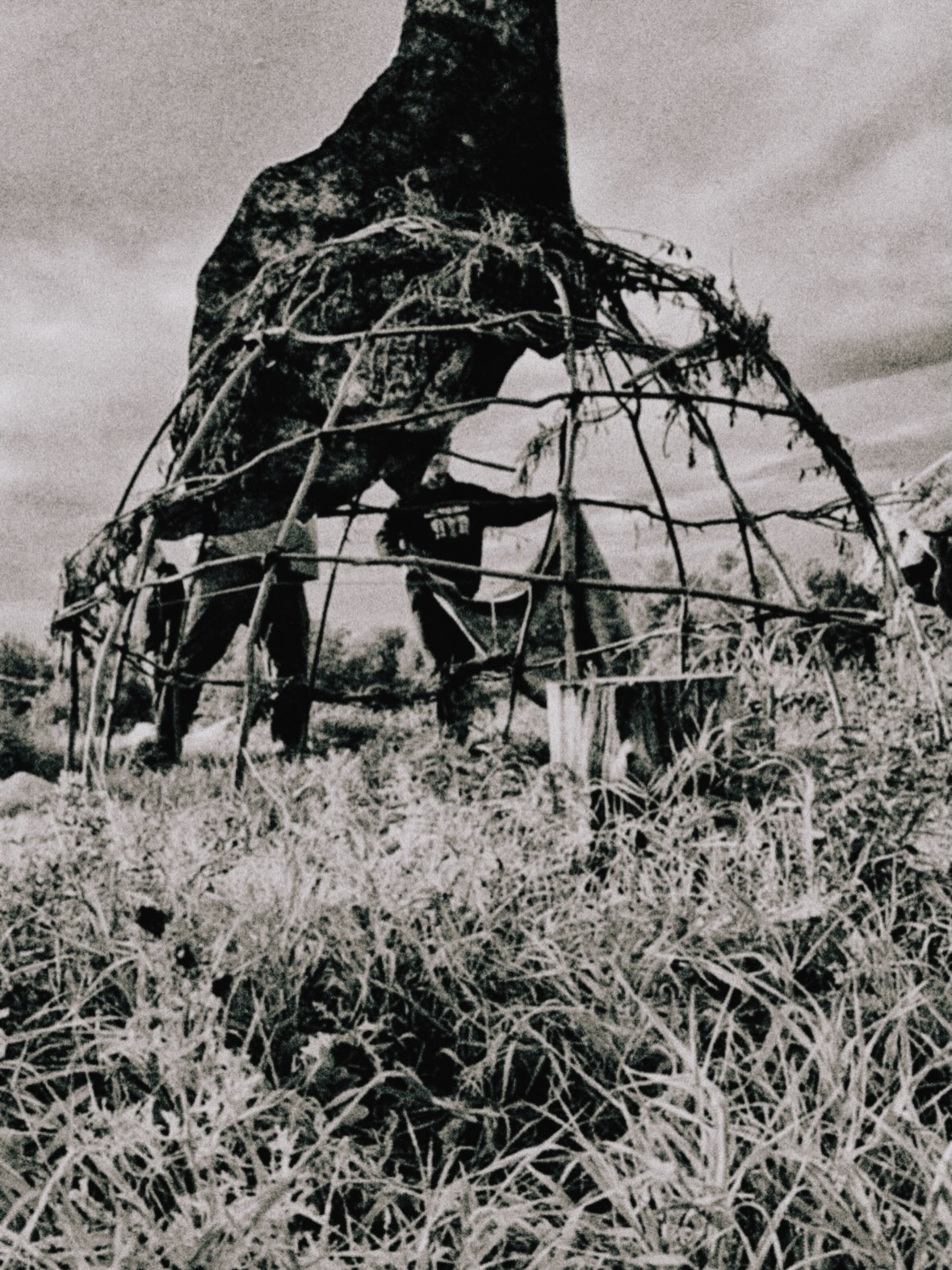 North Dakota, part 2
build sing
create pray
burn suffer
renewed in the warmth of the earth